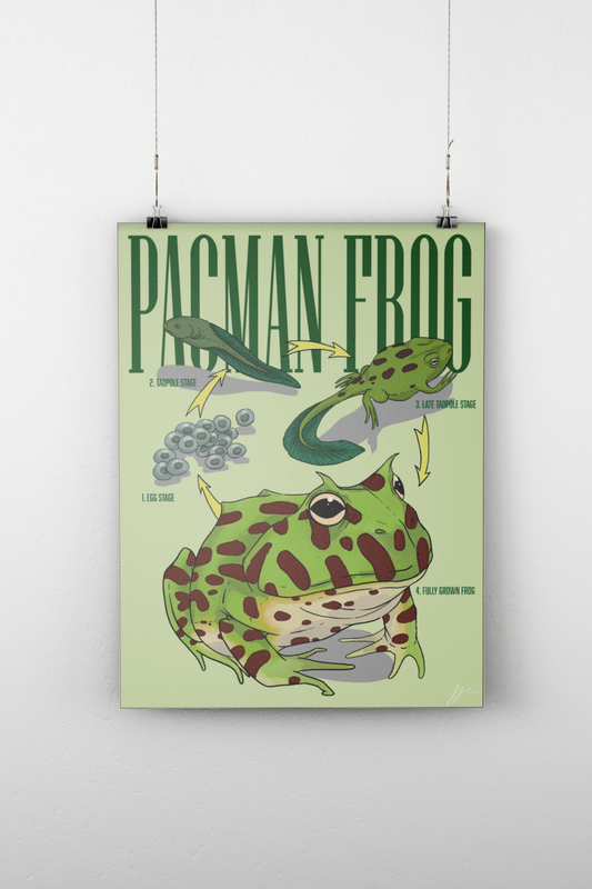 The Pacman Frog’s Journey Poster