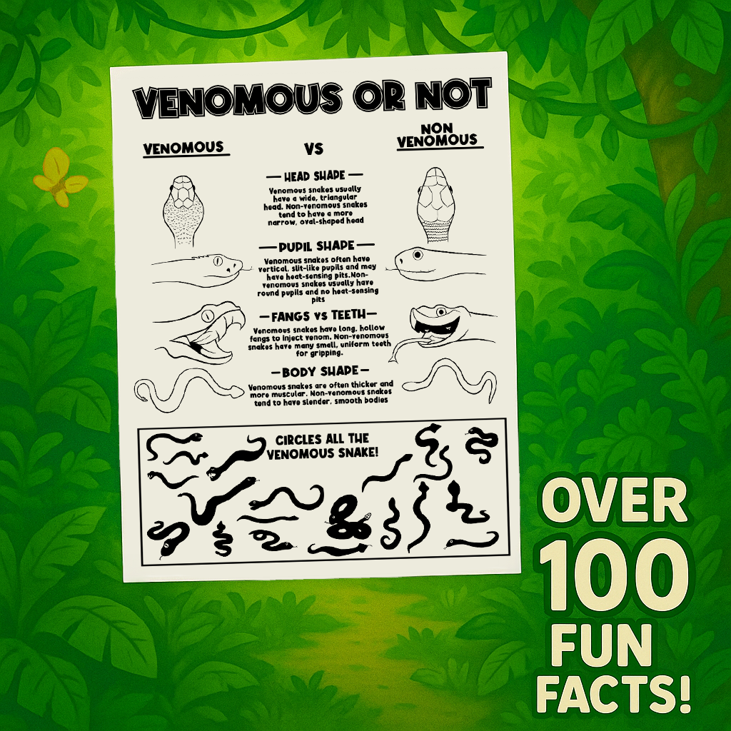 Terra Green Activity Book